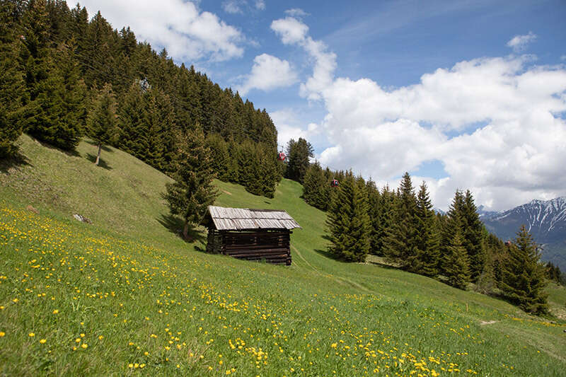 Sommerlandschaft mit Holzhütte