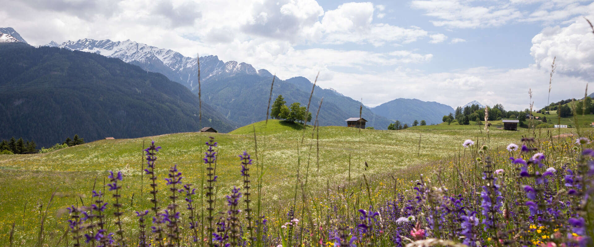 Sommerlandschaft in Serfaus - Fiss - Ladis